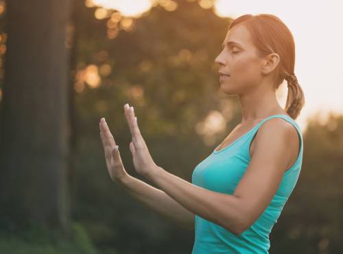 Qi Gong : les Fondamentaux - Qi gong pour débutant ou pour ceux qui veulent améliorer leur pratique |