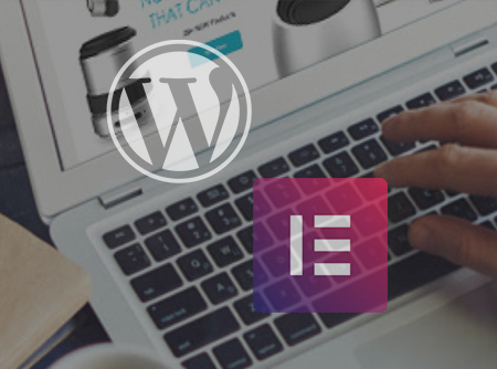 WordPress : Créer son site avec Elementor - <p>Construire des thèmes WordPress sans coder avec Elementor</p> |