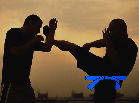 Krav Maga : Ceinture bleue - Apprendre à parer une attaque au couteau |