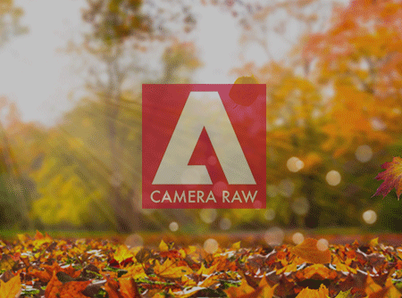 Camera Raw : les Fondamentaux - Maîtriser les bases du logiciel Camera Raw |